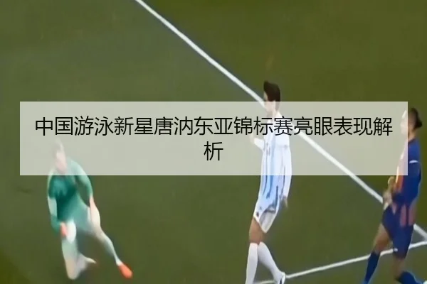 zhong-guo-you-yong-xin-xing-tang-rui-dong-ya-jin-biao-sai-liang-yan-biao-xian-jie-xi-2-561.jpg
